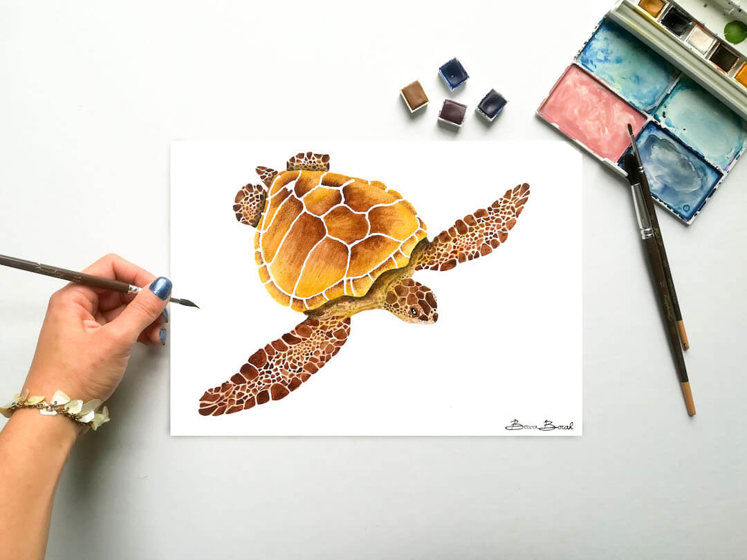 aquarelle originale de Becca Borah avec une tortue de mer
