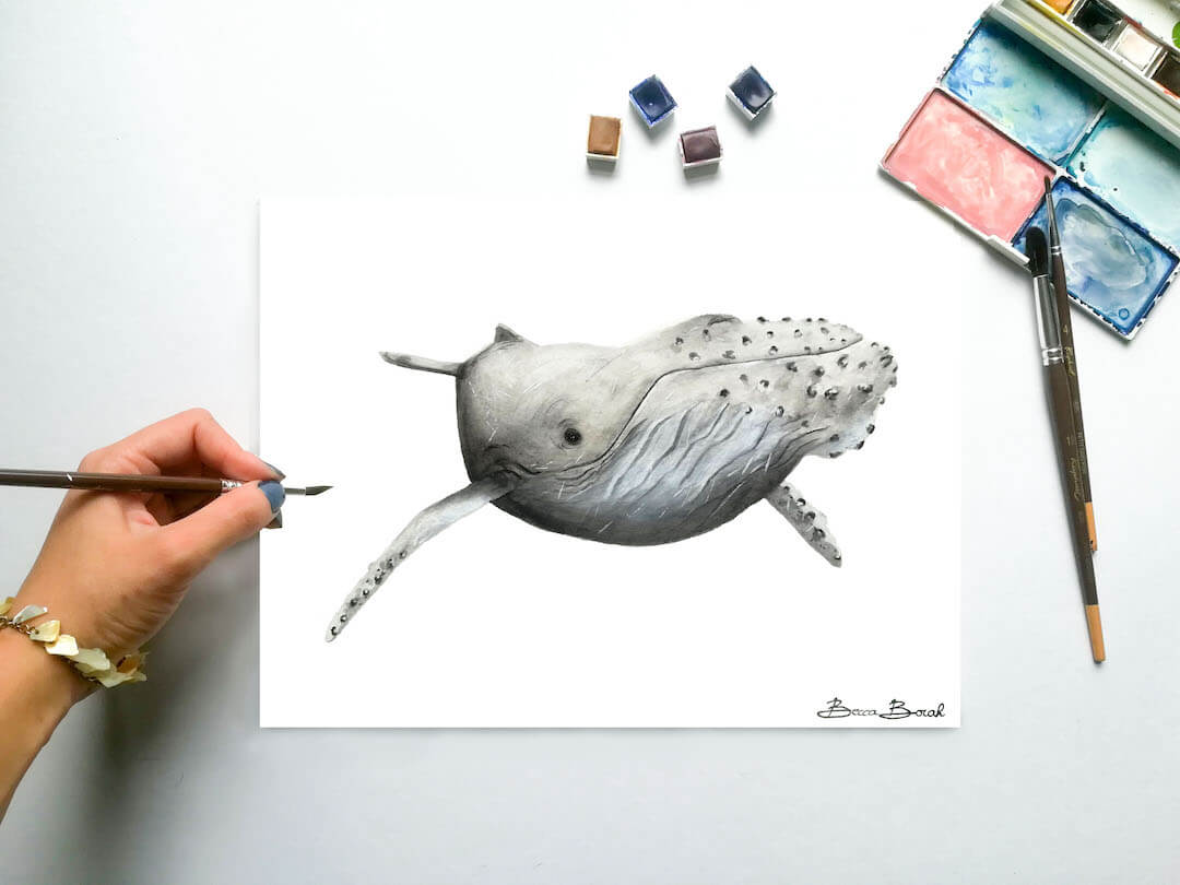 aquarelle originale de Becca Borah avec une baleine grise